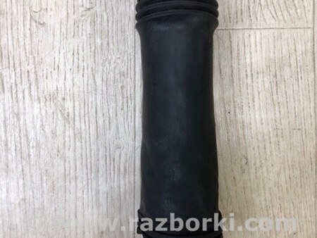 ФОТО Амортизатор для Hyundai Sonata YF (09.2009-03.2014) Киев