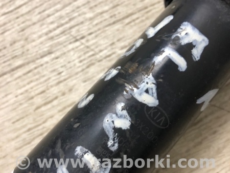ФОТО Амортизатор для Hyundai Elantra MD (04.2010-05.2016) Киев