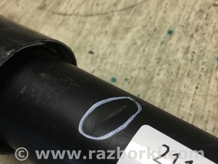 ФОТО Амортизатор для Volkswagen Jetta USA (10-17) Киев