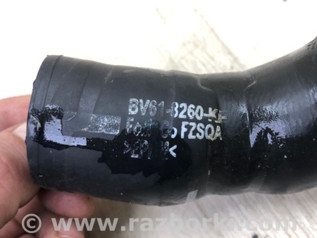 ФОТО Патрубок системы охлаждения для Ford Focus 3 (01.2010 - 03.2018) Киев