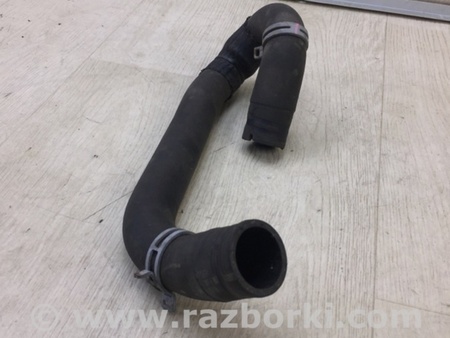 ФОТО Патрубок системы охлаждения для Ford Focus 3 (01.2010 - 03.2018) Киев