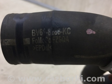 ФОТО Патрубок системы охлаждения для Ford Focus 3 (01.2010 - 03.2018) Киев