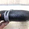 ФОТО Патрубок системы охлаждения для Hyundai Elantra MD (04.2010-05.2016) Киев