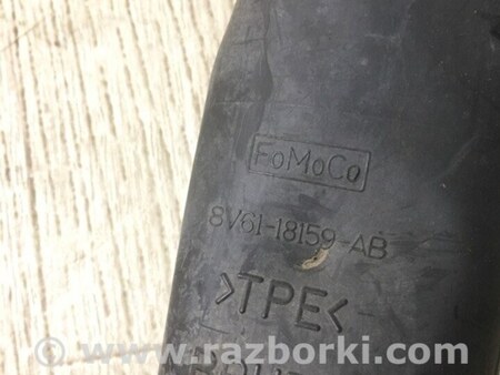ФОТО Амортизатор для Ford Focus 3 (01.2010 - 03.2018) Киев