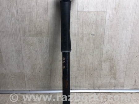 ФОТО Амортизатор для Ford Escape 3 (01.2012-12.2018) Киев