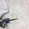 ФОТО Солнцезащитный козырёк для Ford Escape 3 (01.2012-12.2018) Киев