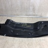 ФОТО Накладка кузова для Ford Edge 1 U387 (01.2006-04.2015) Киев