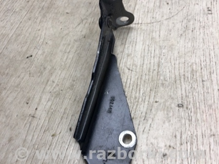 ФОТО Петля капота для Ford Edge 1 U387 (01.2006-04.2015) Киев