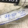 ФОТО AirBag шторка для Hyundai Sonata LF (04.2014-...) Киев
