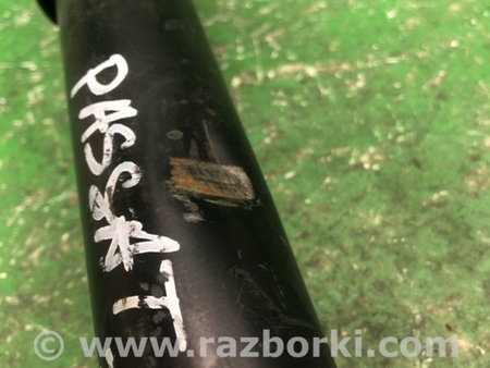 ФОТО Амортизатор для Volkswagen Passat B7 (09.2010-06.2015) Киев