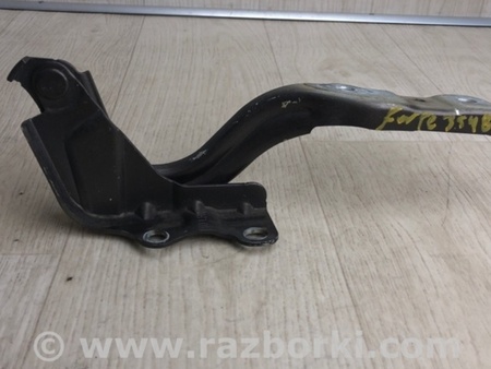 ФОТО Петля капота для KIA Forte YD (2012-) Киев