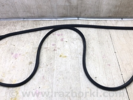 ФОТО Уплотнитель двери для Ford Focus 3 (01.2010 - 03.2018) Киев
