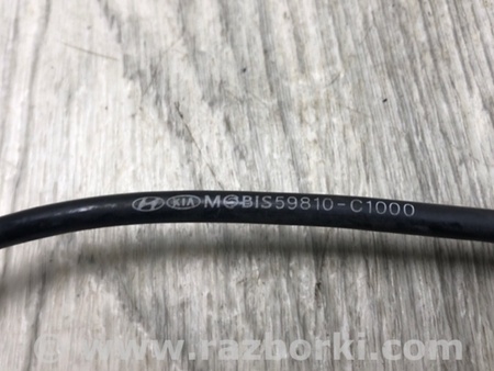 ФОТО Датчик ABS для Hyundai Sonata LF (04.2014-...) Киев