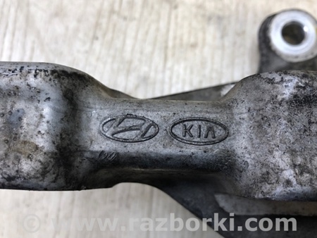 ФОТО Кулак поворотный для Hyundai Sonata LF (04.2014-...) Киев
