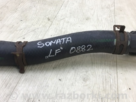 ФОТО Патрубок системы охлаждения для Hyundai Sonata LF (04.2014-...) Киев