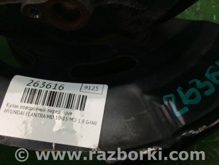 ФОТО Кулак поворотный для Hyundai Elantra MD (04.2010-05.2016) Киев