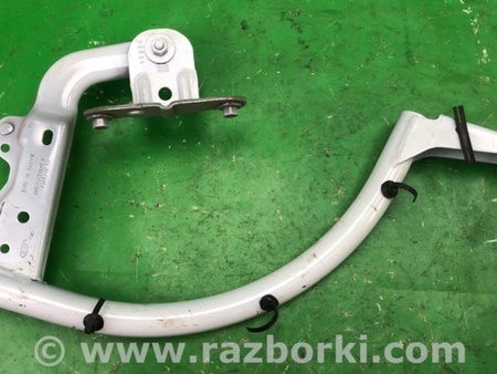 ФОТО Петля крышки багажника для Ford Focus 3 (01.2010 - 03.2018) Киев