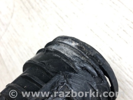 ФОТО Патрубок интеркулера для Volkswagen Passat B8 (07.2014-...) Киев