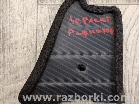ФОТО Дефлектор радиатора для Toyota RAV-4 (15-18) Киев