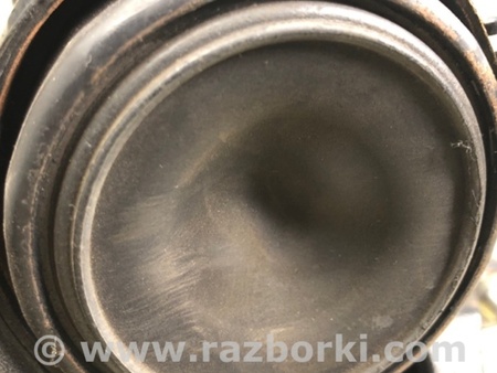 ФОТО Подушка для Toyota RAV-4 (15-18) Киев
