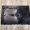 ФОТО Полка аккумулятора для Toyota RAV-4 (15-18) Киев