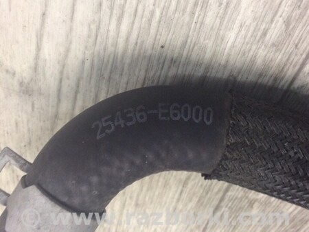 ФОТО Патрубок системы охлаждения для Hyundai Sonata LF (04.2014-...) Киев