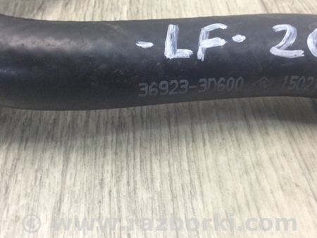 ФОТО Патрубок системы охлаждения для Hyundai Sonata LF (04.2014-...) Киев