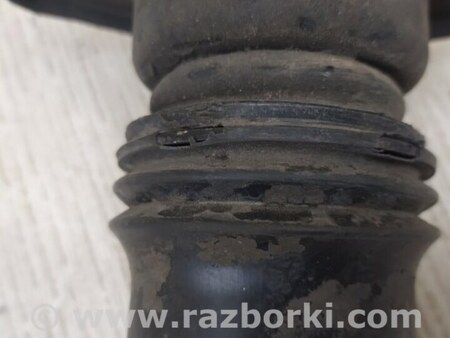 ФОТО Амортизатор для Hyundai Sonata LF (04.2014-...) Киев