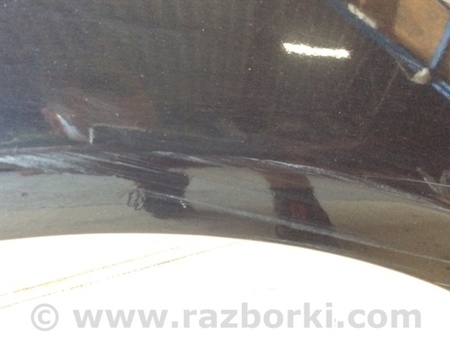 ФОТО Крыло переднее для Ford Focus 3 (01.2010 - 03.2018) Киев