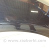 ФОТО Крыло переднее для Ford Focus 3 (01.2010 - 03.2018) Киев