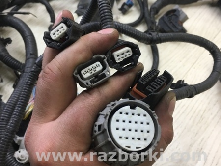 ФОТО Проводка моторного отсека для Nissan Sentra B17 Киев