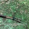 ФОТО Датчик ABS для Infiniti QX60/JX35 Киев