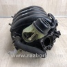 ФОТО Впускной коллектор для Toyota RAV-4 (15-18) Киев