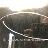ФОТО Стекло двери для Ford Escape 3 (01.2012-12.2018) Киев