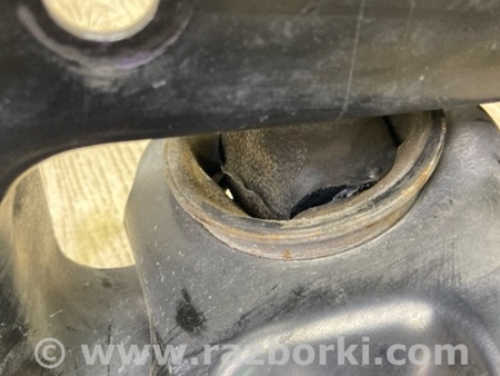 ФОТО Рычаг задний продольный для Toyota Camry 70 XV70 (01.2017-...)  Киев