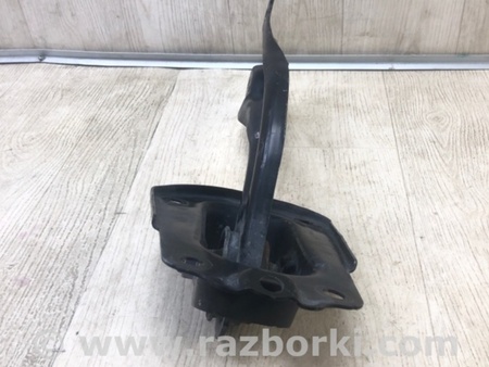 ФОТО Рычаг задний продольный для Toyota Camry 70 XV70 (01.2017-...)  Киев