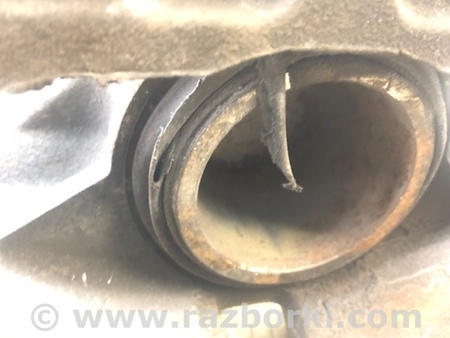ФОТО Суппорт для Toyota Camry 70 XV70 (01.2017-...)  Киев