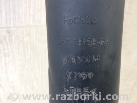 ФОТО Амортизатор для Ford Escape 3 (01.2012-12.2018) Киев