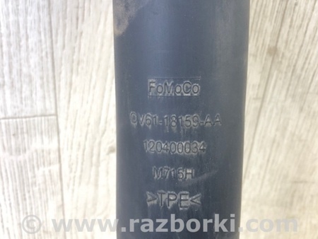ФОТО Амортизатор для Ford Escape 3 (01.2012-12.2018) Киев