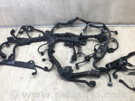 ФОТО Проводка моторного отсека для Toyota Camry 70 XV70 (01.2017-...)  Киев