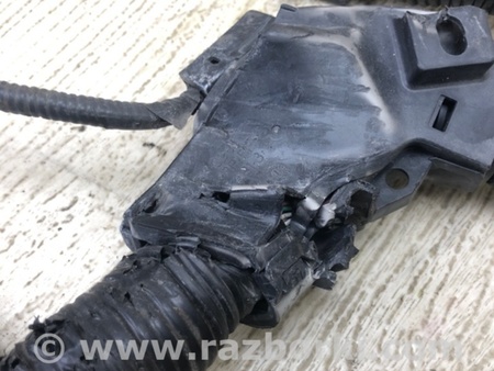 ФОТО Проводка моторного отсека для Toyota Camry 70 XV70 (01.2017-...)  Киев