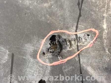 ФОТО Защита переднего бампера для Toyota Camry 70 XV70 (01.2017-...)  Киев
