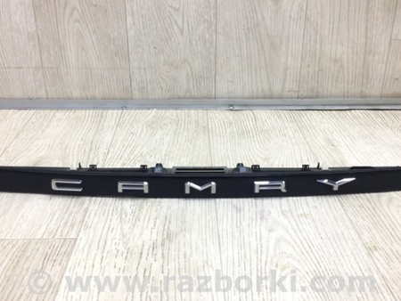 ФОТО Подсветка номера для Toyota Camry 70 XV70 (01.2017-...)  Киев