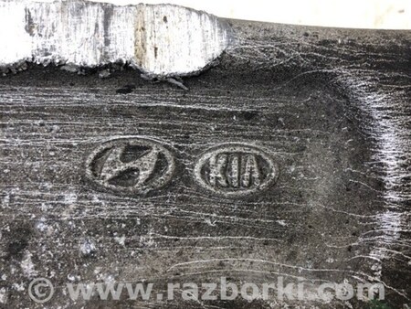 ФОТО Рычаг передний нижний для KIA Niro DE (16-22) Киев