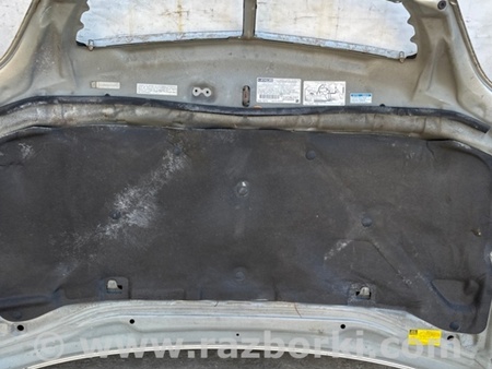 ФОТО Капот для Lexus RX300 (98-03) Киев