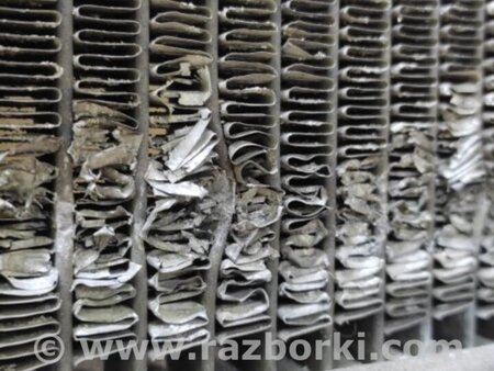 ФОТО Радиатор основной для Toyota Avalon XX20 (08.1999-11.2004) Киев