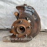 ФОТО Кулак поворотный для Lexus RX300 (98-03) Киев