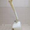 ФОТО Бачок омывателя для Acura MDX YD1 (2000-2006) Киев