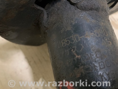 ФОТО Амортизатор для Toyota Highlander (01-07) Киев