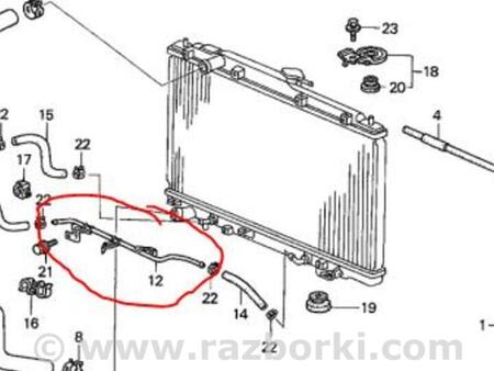 ФОТО Трубка АКПП для Acura MDX YD1 (2000-2006) Киев